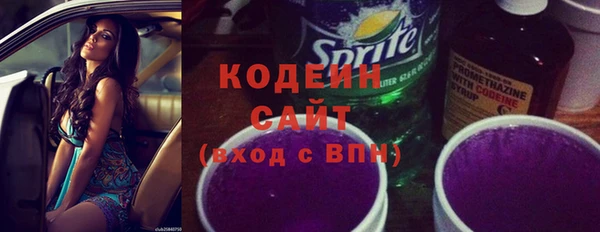 ГАЛЛЮЦИНОГЕННЫЕ ГРИБЫ Аркадак