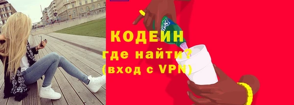 ГАЛЛЮЦИНОГЕННЫЕ ГРИБЫ Аркадак
