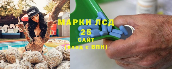 ГАЛЛЮЦИНОГЕННЫЕ ГРИБЫ Аркадак