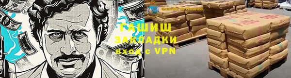 ГАЛЛЮЦИНОГЕННЫЕ ГРИБЫ Аркадак
