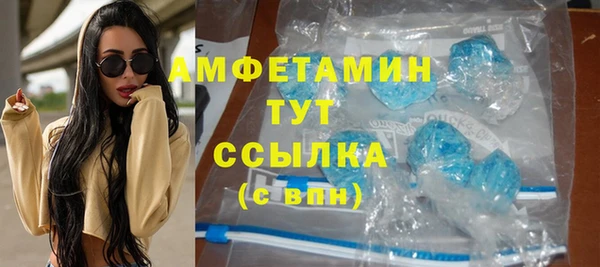 ГАЛЛЮЦИНОГЕННЫЕ ГРИБЫ Аркадак