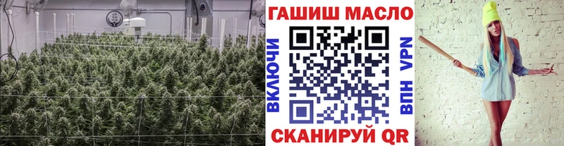 ТГК гашишное масло кракен ссылки Лениногорск